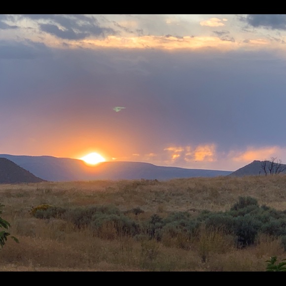 Meet your Posh Ambassador Amy!!!!! - Picture 2 of 6